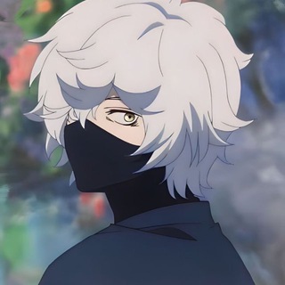 shadowm1rnyi