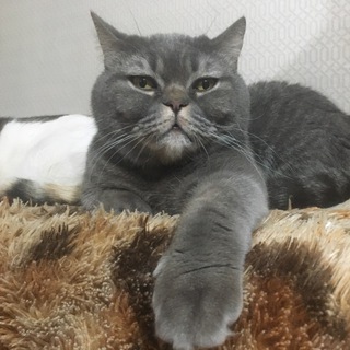 Ольга Леснова