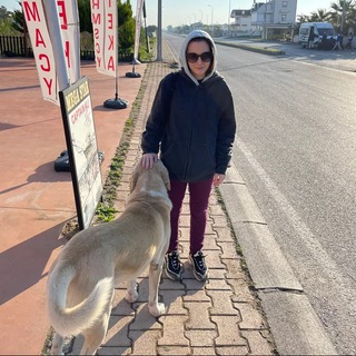 MehMasha_twitch