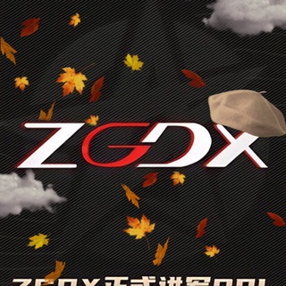 Предложка ZGDX GAMING