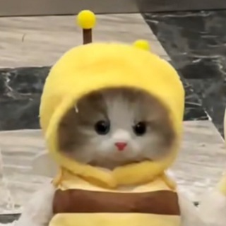 Александр Л