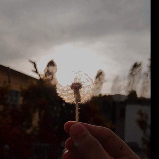 Just blog.