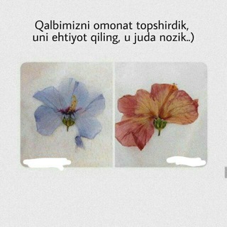 Hayot va Hayol kanali (aloqa bo'limi)