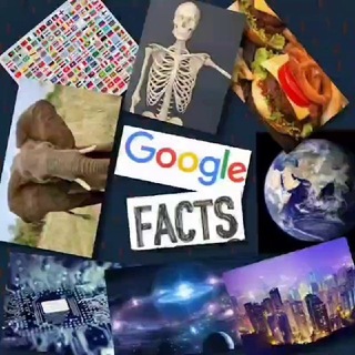 @googlefactss ™ Group Chat [@googlefactss🌍]