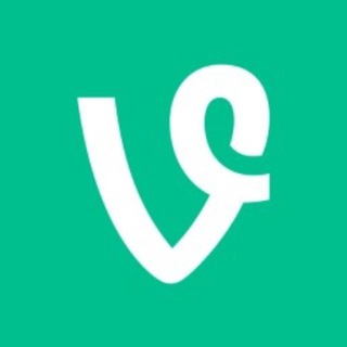VINE COIN OFFICIAL