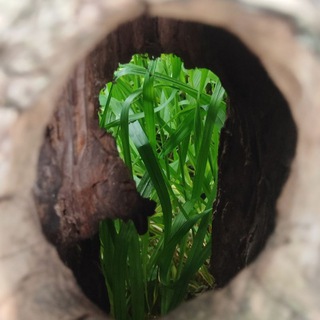 ♻️ВО БЛАГО ЧАТ♻️