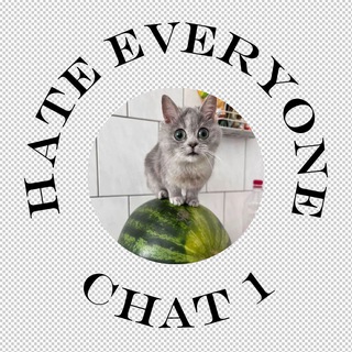 H8E1_chat01