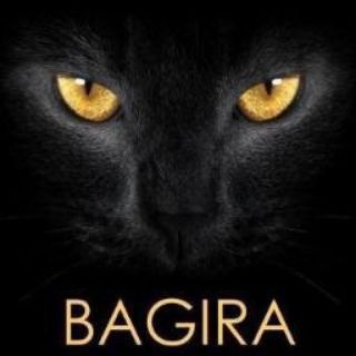 Bagira ⚡ Chat