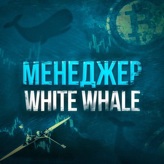 Менеджер канала White Whale