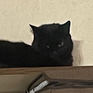Маргарита