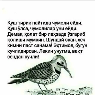 СОХТА ОДАМЛАР