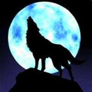 Wolf(长期聘请漂亮女生上班)