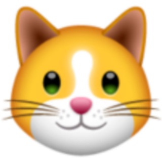 Kitten Finance TR