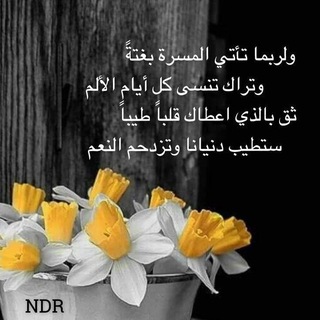 ولربما ..؟!