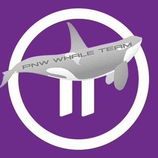 PI NETWORK | BUY/SELL | Whales 🐋 Group