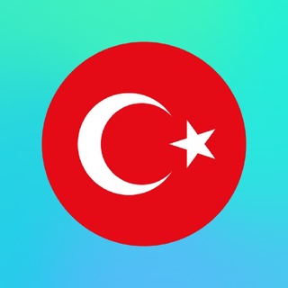 GLOBAL ARAYİS