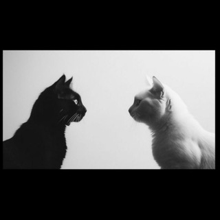 - أمَل | فَࢪاغ .