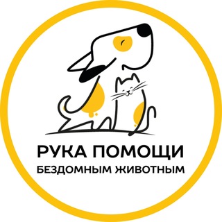 РУКА ПОМОЩИ БЕЗДОМНЫМ ЖИВОТНЫМ