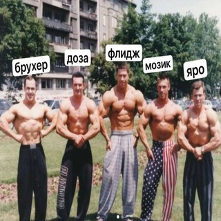Чат Флиджика