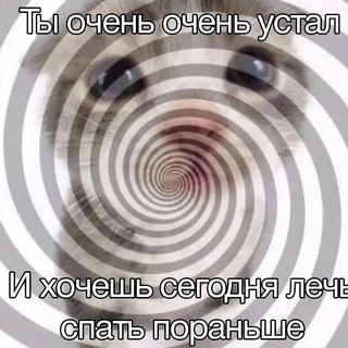 Предложка Котача