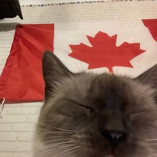 🥩🫀𝐂𝐚𝐧𝐚𝐝𝐚 ~sɪɢɴɪғɪᴄᴀɴᴄᴇ ᴏғ ғʀᴇᴇᴅᴏᴍ~ 🥩~🇨🇦|🌀 ɪ ʟɪᴠᴇ ꜰᴏʀ ꜰʀᴇᴇᴅᴏᴍ ᴍᴀᴛᴄʜᴇꜱ!