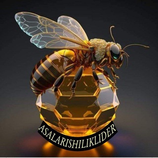 🐝🐝ASALARICHILIK LIDER🐝N-1🌍