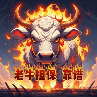 老牛双向机器人💁‍♀️