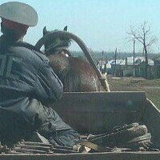 БДД Казань (ДТП, ДПС 116)