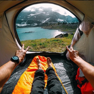 The Travel Bug