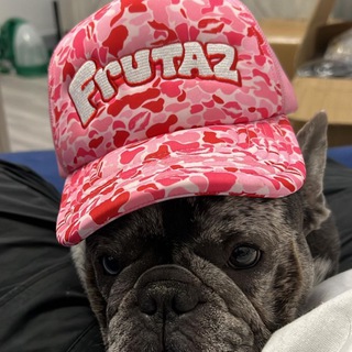 Frutaz Official⛽️