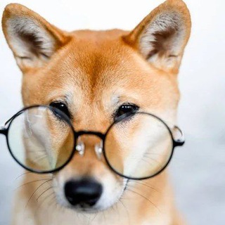 WoofTools Shib.io Defi Official