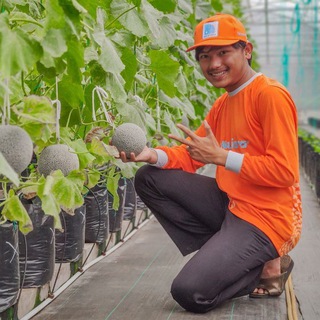 Channel NPK Mutiara