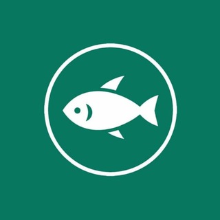 ZN Fish