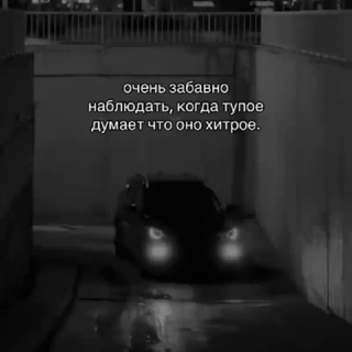 ⚜️ЧАТ⚜️