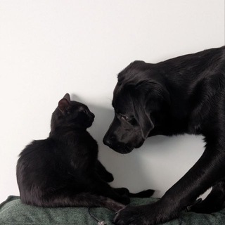 MARS&MARLI CHAT