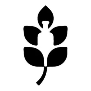 海螺的VIP支付