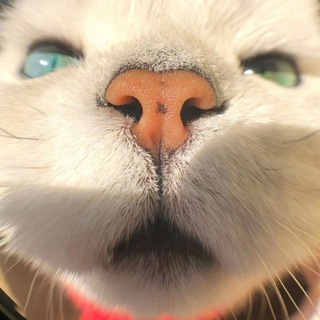 Oh My God