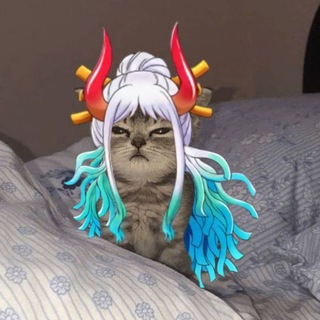 𝚂𝚑𝚊𝚗𝚔𝚜
