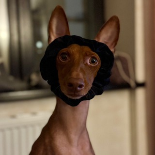 Mira