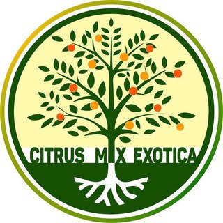 Цитрус Микс #Citrus_mix_Москва CitrusmixMoscow