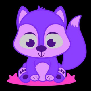 BLUEFOX FEEDBACKS