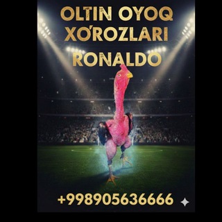 Oltin Ayok Xörozlari