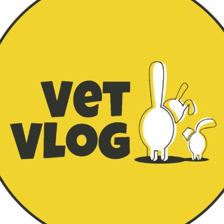 VetVlog Админ