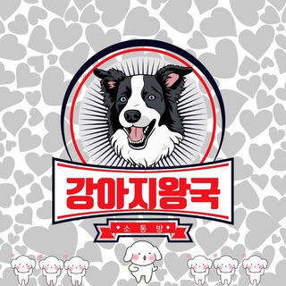 강아지 왕국 소통방❤️