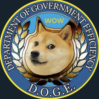 Department Of Government Efficiency C.T.O.