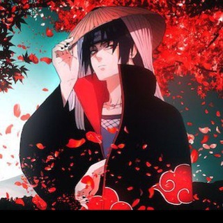 Itachi | Pionex
