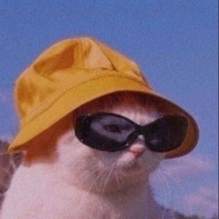 𝐆𝐀𝐋𝐄𝐑