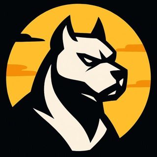 UNDERDOG | CRYPTO Chat