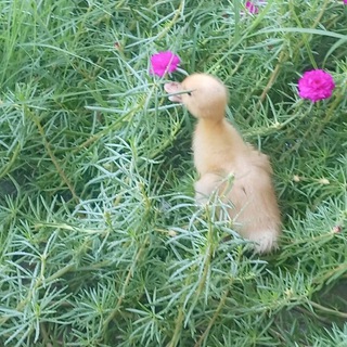 💗