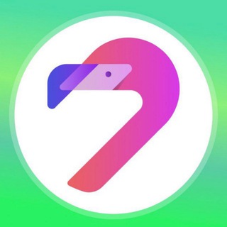 Flamingo Finance